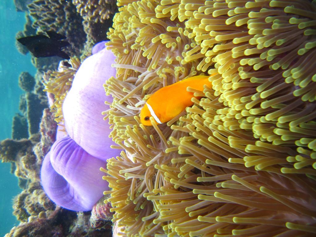 Marinabayvilla-Himandhoo Dış mekan fotoğraf