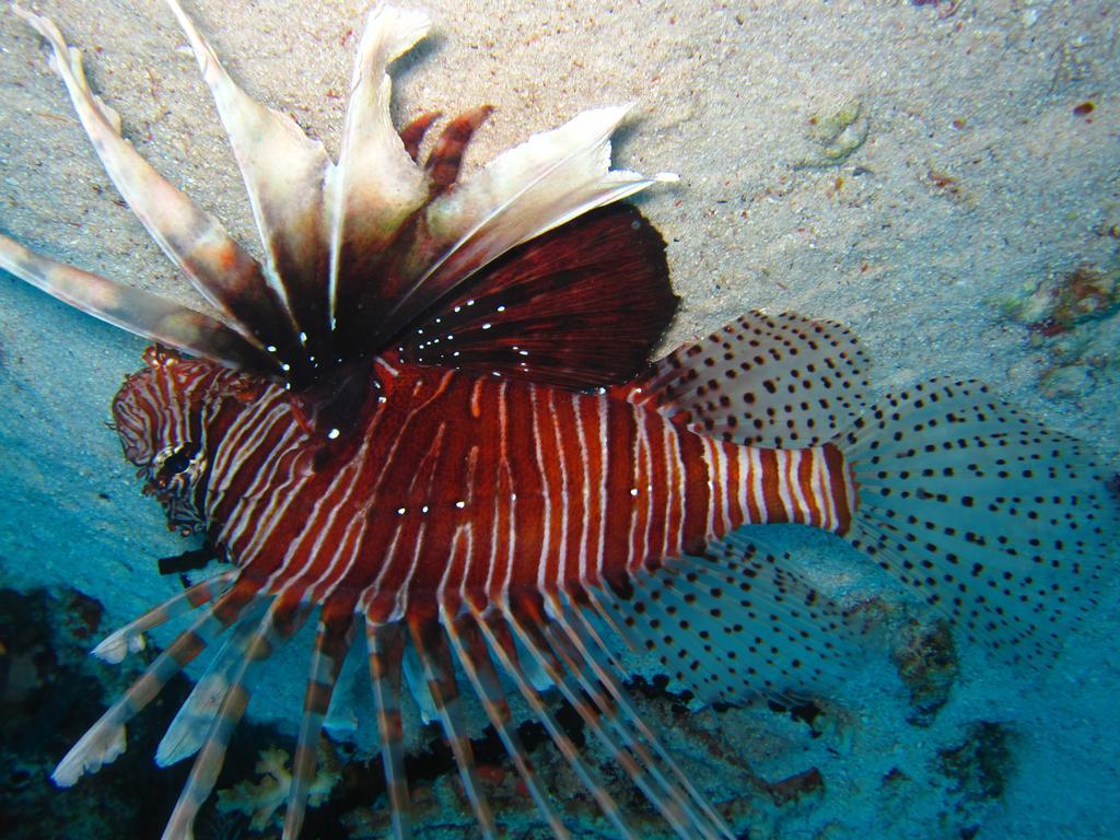Marinabayvilla-Himandhoo Dış mekan fotoğraf