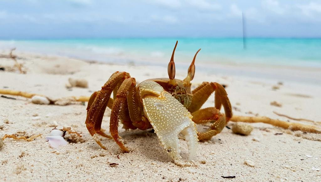 Marinabayvilla-Himandhoo Dış mekan fotoğraf